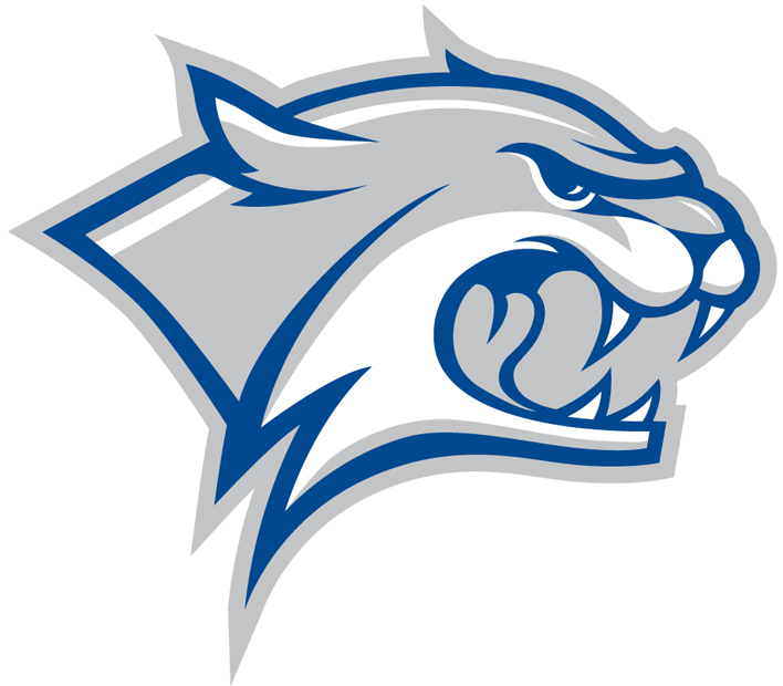 New Hampshire Wildcats 2000-Pres Partial Logo iron on transfers for clothing